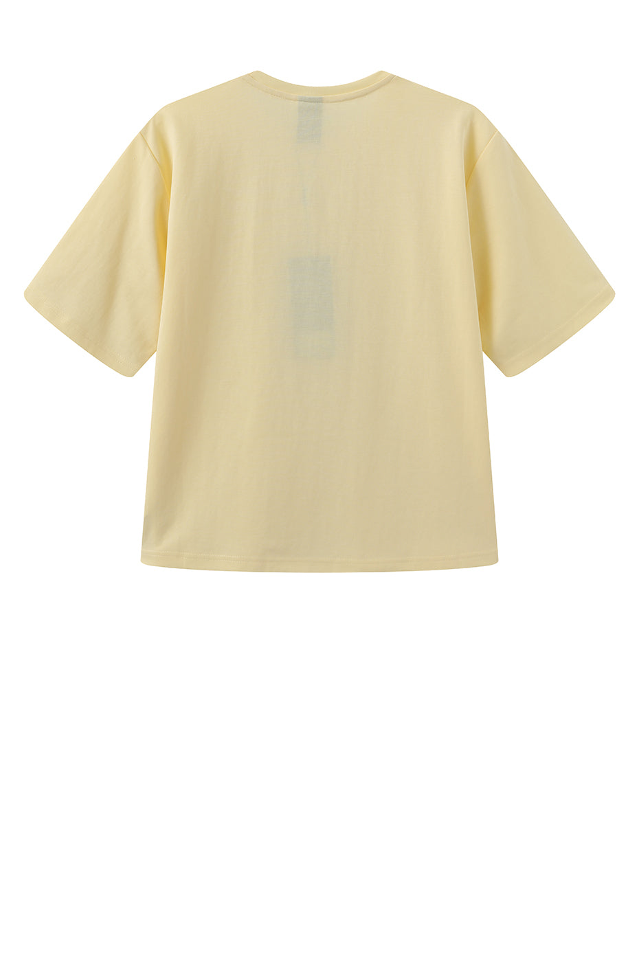 LUXZUZ // ONE TWO Boxy T-shirt T-Shirt 100 Anise Flower